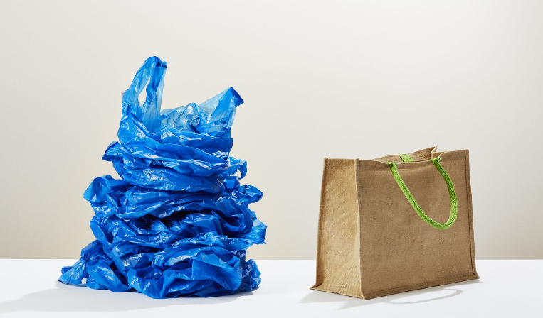 Replace Your Plastic Bags with Reusable Grocery Bags.